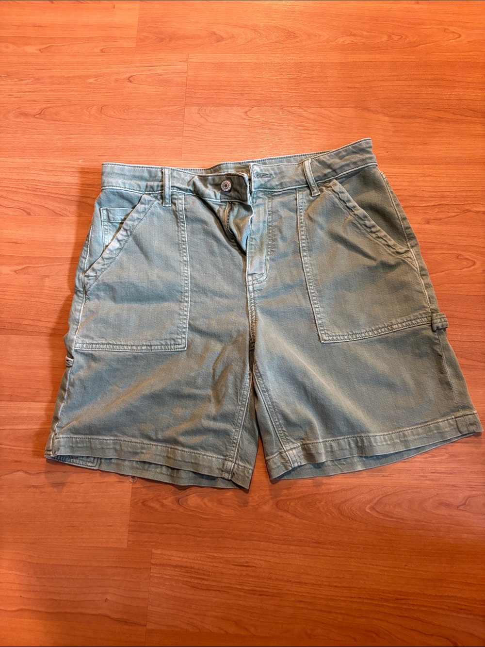 American Eagle Outfitters Men's Light Olive Cargo Shorts